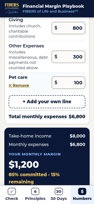 Playbook — monthly cash flow